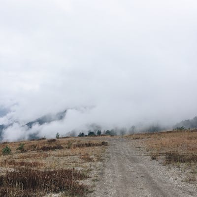 Foto de Ana Lucía Torres